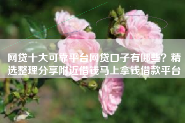 网贷十大可靠平台网贷口子有哪些？精选整理分享附近借钱马上拿钱借款平台