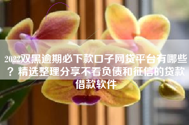 2022双黑逾期必下款口子网贷平台有哪些？精选整理分享不看负债和征信的贷款借款软件
