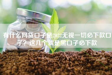 有什么网贷口子是2022无视一切必下款口子？这几个就是黑口子必下款