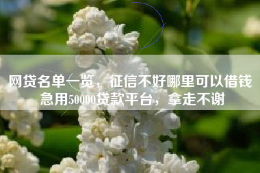 网贷名单一览，征信不好哪里可以借钱 急用50000贷款平台，拿走不谢