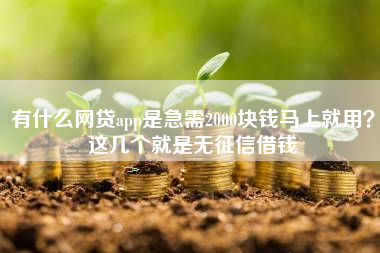 有什么网贷app是急需2000块钱马上就用？这几个就是无征信借钱