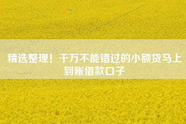 精选整理！千万不能错过的小额贷马上到账借款口子