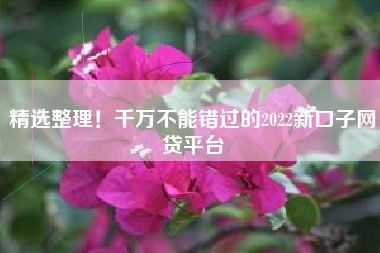 精选整理！千万不能错过的2022新口子网贷平台