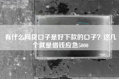 有什么网贷口子是好下款的口子？这几个就是借钱应急5000