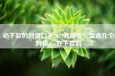 必下款的网贷口子2022有哪些？盘点几个网贷app好下款的