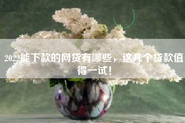 2022能下款的网贷有哪些，这几个贷款值得一试！