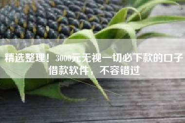 精选整理！3000元无视一切必下款的口子借款软件，不容错过