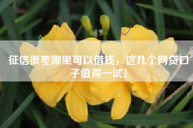 征信很差哪里可以借钱，这几个网贷口子值得一试！
