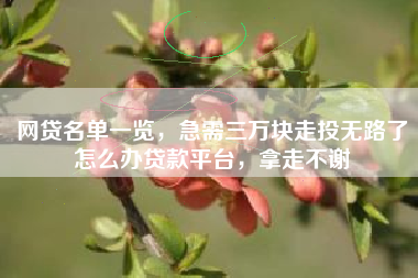网贷名单一览，急需三万块走投无路了怎么办贷款平台，拿走不谢