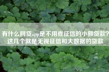 有什么网贷app是不用查征信的小额贷款？这几个就是无视征信和大数据的贷款