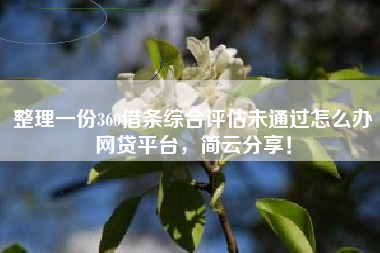 整理一份360借条综合评估未通过怎么办网贷平台，简云分享！