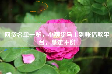 网贷名单一览，小额贷马上到账借款平台，拿走不谢