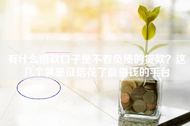 有什么借款口子是不看负债的贷款？这几个就是征信花了能借钱的平台