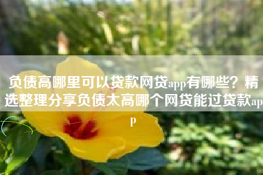 负债高哪里可以贷款网贷app有哪些？精选整理分享负债太高哪个网贷能过贷款app