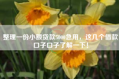 整理一份小额贷款5000急用，这几个借款口子口子了解一下！