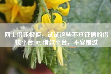 网上借钱被拒，试试这些不查征信的借钱平台2022借款平台，不容错过
