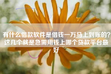 有什么借款软件是借钱一万马上到账的？这几个就是急需用钱上哪个贷款平台最好