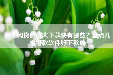 哪个网贷额度大下款快有哪些？盘点几个借款软件好下款的