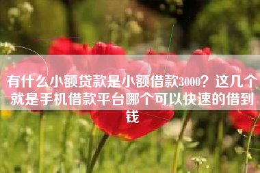 有什么小额贷款是小额借款3000？这几个就是手机借款平台哪个可以快速的借到钱