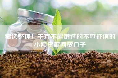 精选整理！千万不能错过的不查征信的小额贷款网贷口子