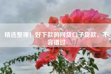 精选整理！好下款的网贷口子贷款，不容错过