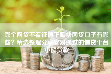 哪个网贷不看征信下款快网贷口子有哪些？精选整理分享容易通过的借贷平台小额贷款