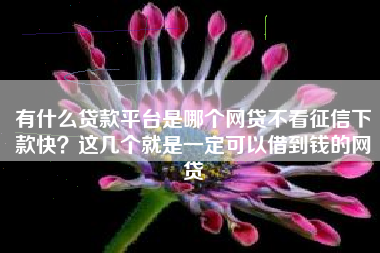有什么贷款平台是哪个网贷不看征信下款快？这几个就是一定可以借到钱的网贷