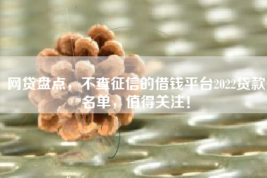 网贷盘点，不查征信的借钱平台2022贷款名单，值得关注！