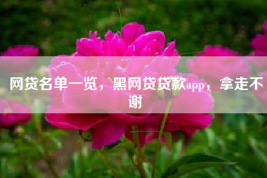 网贷名单一览，黑网贷贷款app，拿走不谢