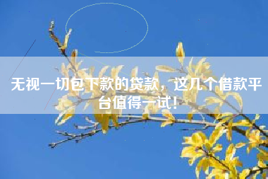 无视一切包下款的贷款，这几个借款平台值得一试！