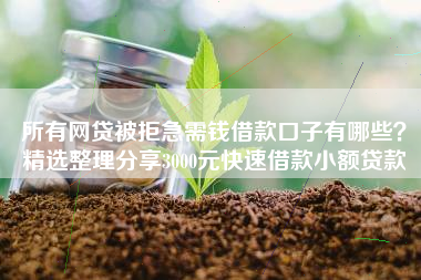 所有网贷被拒急需钱借款口子有哪些？精选整理分享3000元快速借款小额贷款