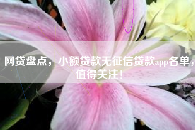 网贷盘点，小额贷款无征信贷款app名单，值得关注！