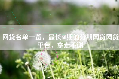 网贷名单一览，最长60期的分期网贷网贷平台，拿走不谢