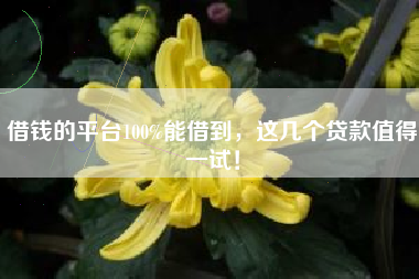 借钱的平台100%能借到，这几个贷款值得一试！