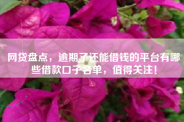 网贷盘点，逾期了还能借钱的平台有哪些借款口子名单，值得关注！