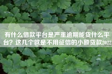 有什么借款平台是严重逾期能贷什么平台？这几个就是不用征信的小额贷款2022