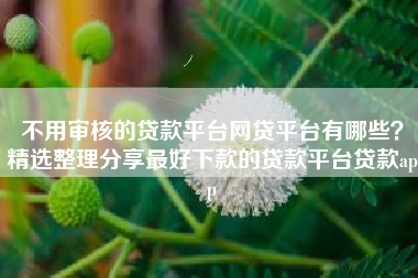 不用审核的贷款平台网贷平台有哪些？精选整理分享最好下款的贷款平台贷款app