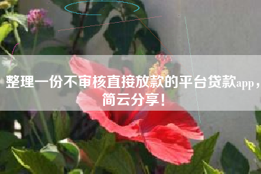整理一份不审核直接放款的平台贷款app，简云分享！