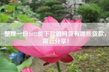 整理一份2022能下款的网贷有哪些贷款，简云分享！