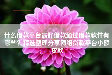 什么借款平台最好借款通过借款软件有哪些？精选整理分享网络贷款平台小额贷款