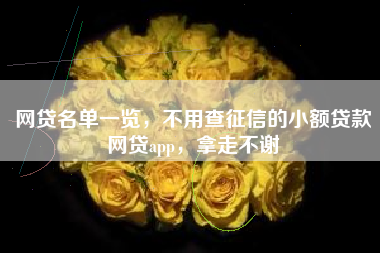 网贷名单一览，不用查征信的小额贷款网贷app，拿走不谢