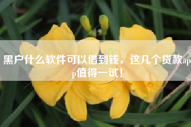 黑户什么软件可以借到钱，这几个贷款app值得一试！