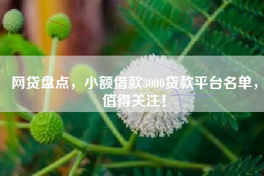网贷盘点，小额借款3000贷款平台名单，值得关注！
