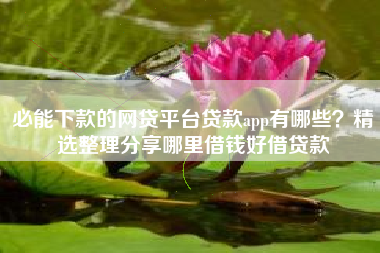 必能下款的网贷平台贷款app有哪些？精选整理分享哪里借钱好借贷款