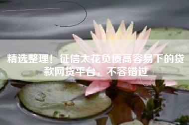 精选整理！征信太花负债高容易下的贷款网贷平台，不容错过