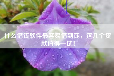 什么借钱软件最容易借到钱，这几个贷款值得一试！