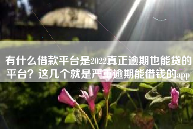 有什么借款平台是2022真正逾期也能贷的平台？这几个就是严重逾期能借钱的app