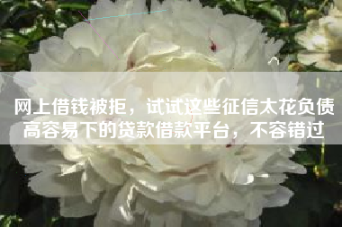 网上借钱被拒，试试这些征信太花负债高容易下的贷款借款平台，不容错过