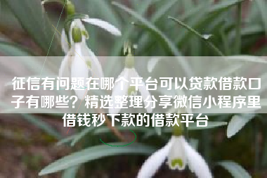 征信有问题在哪个平台可以贷款借款口子有哪些？精选整理分享微信小程序里借钱秒下款的借款平台