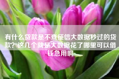 有什么贷款是不查征信大数据秒过的贷款？这几个就是大数据花了哪里可以借钱急用啊